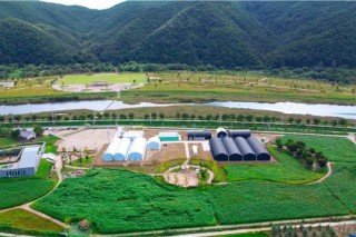 경북 산업용 헴프규제자유특구, 헴프 인지도 개선에 기여