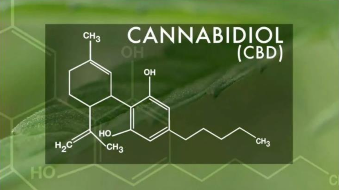 CANNABIDIOL(CBD) 원소 구조도